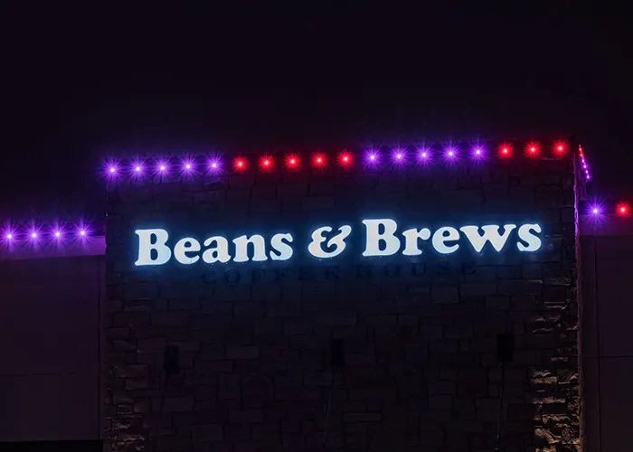 Commercial Christmas Lights