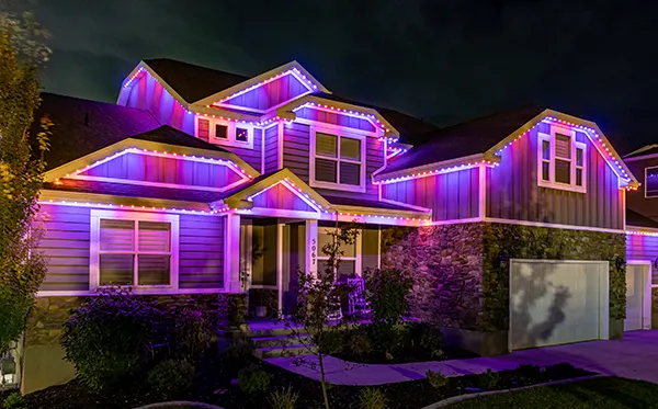 Trimlight Valentines