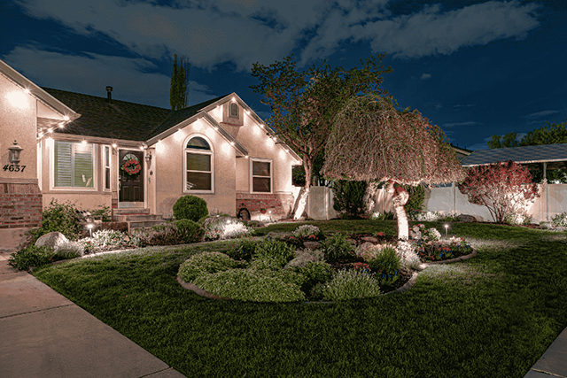 Accent lighting landscape.webp